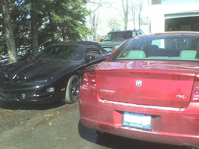 Name:  DSC00010.jpg
Views: 68
Size:  50.6 KB