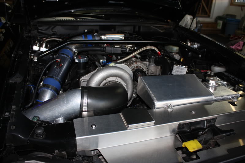 Name:  mmr1000036.jpg
Views: 88
Size:  73.8 KB