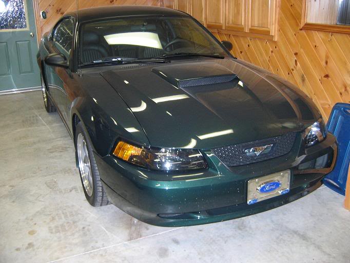 Name: bullit.jpg
Views: 26
Size: 55.4 KB