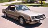 FS: 81 Mustang convertible-81mustang3.jpg