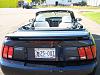 2003 Ford Mustang Convertible - 500-img_1067.jpg