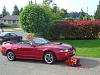 2003 Mustang GT Convertible-dsc00045.jpg