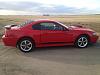 2003 Torch red Mach 1 for sale-image.jpg