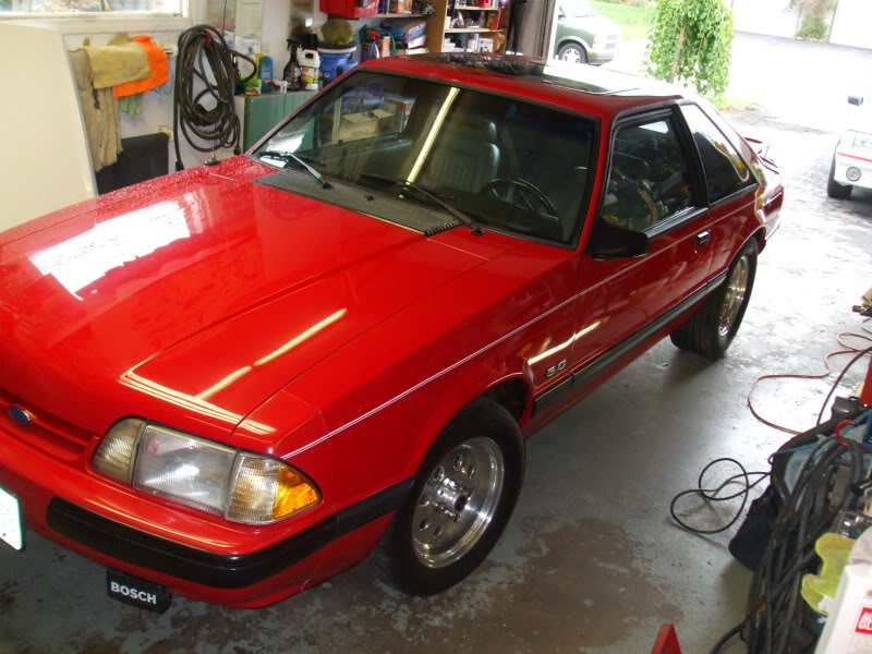 Name:  Picture007.jpg
Views: 739
Size:  112.8 KB