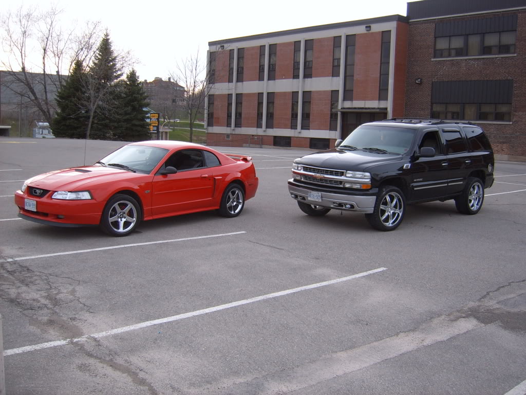 Name: SUC50155.jpg
Views: 153
Size: 150.5 KB