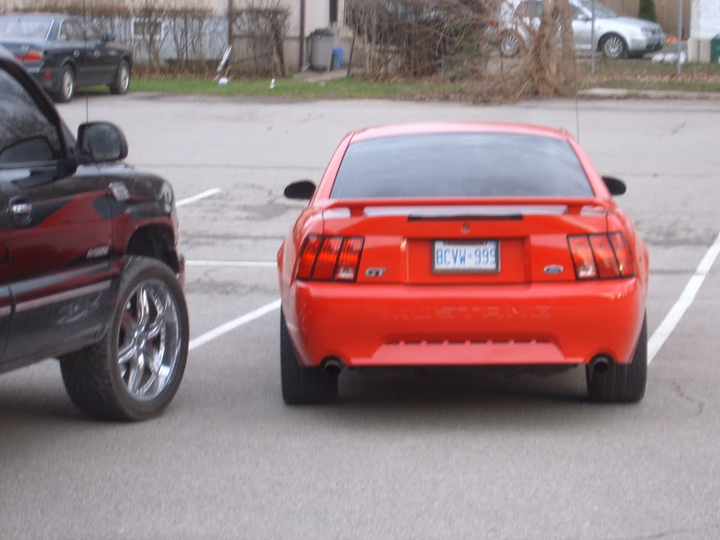 Name:  SUC50162.jpg
Views: 175
Size:  92.1 KB