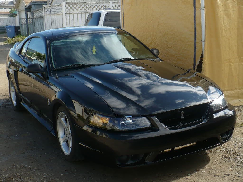 Name:  P1000679.jpg
Views: 121
Size:  127.6 KB