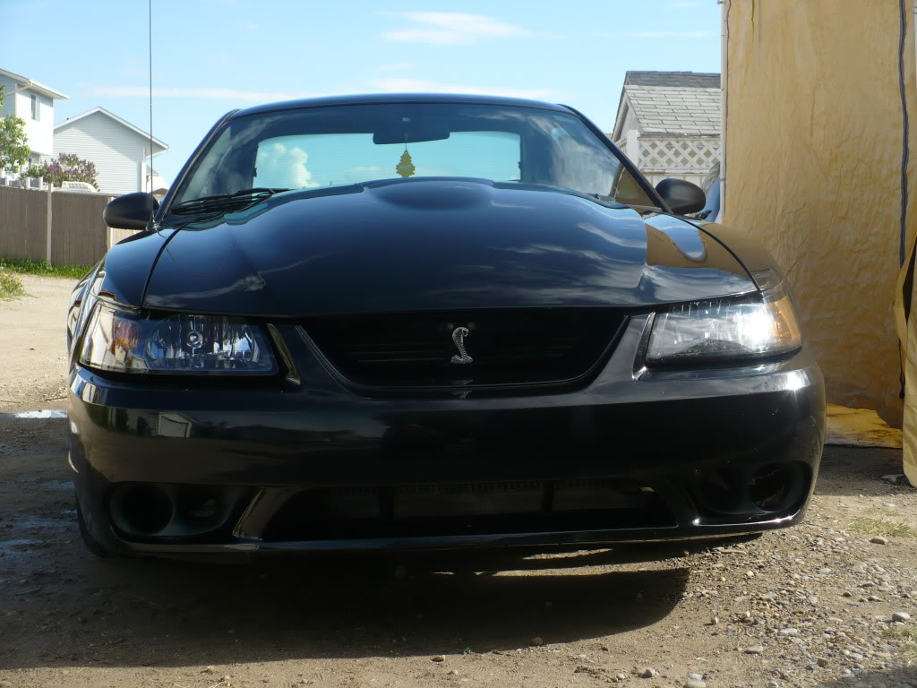 Name:  P1000678.jpg
Views: 130
Size:  125.4 KB