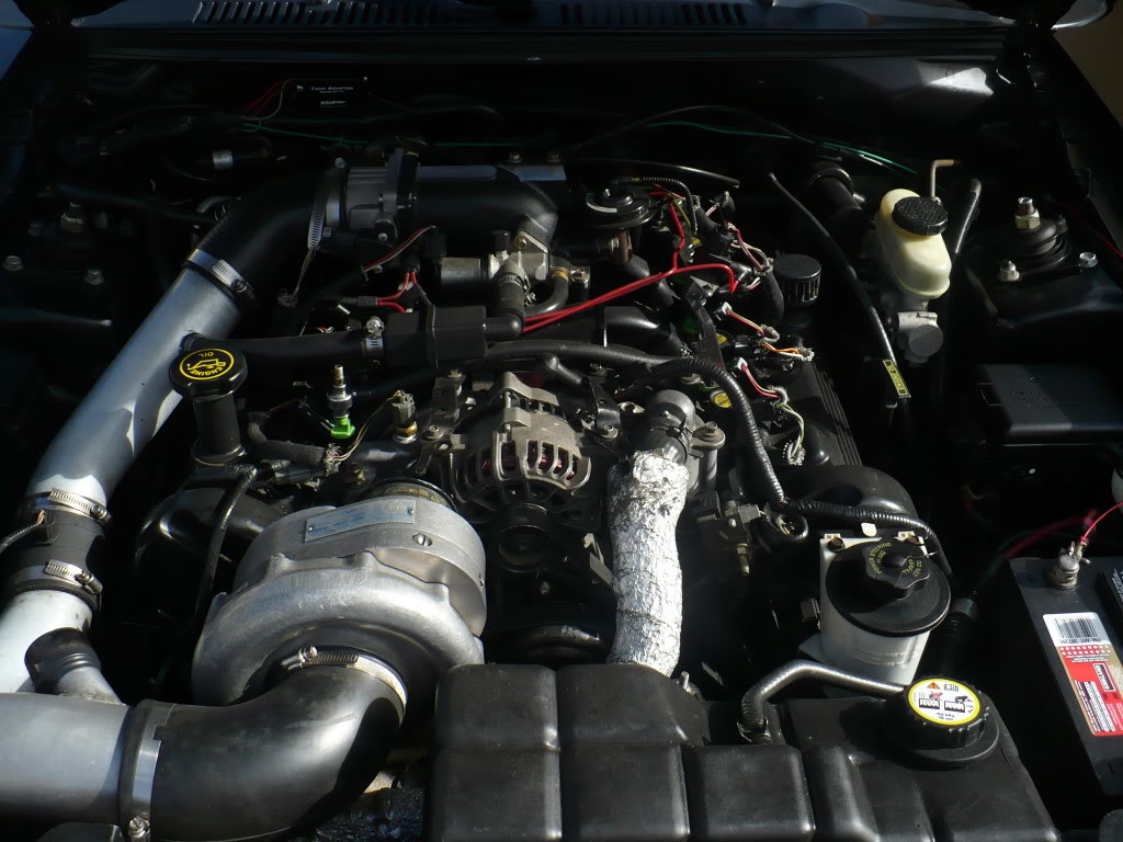 Name:  P1000680.jpg
Views: 118
Size:  126.8 KB