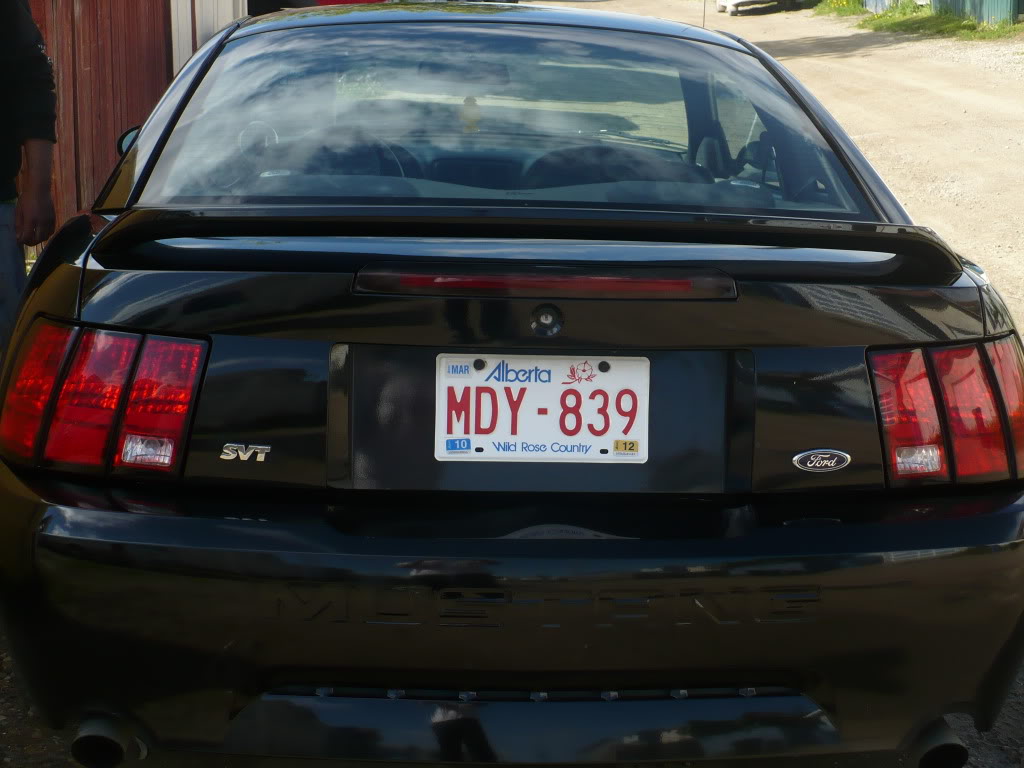 Name:  P1000667.jpg
Views: 145
Size:  98.3 KB