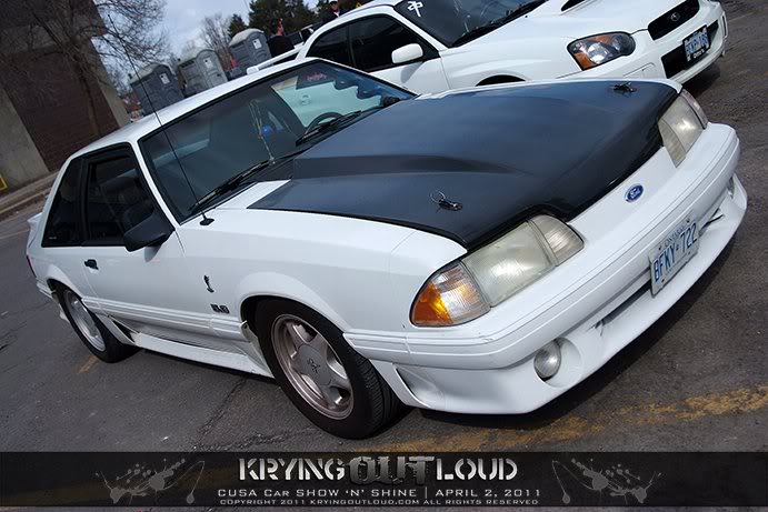 Name:  mustang3.jpg
Views: 593
Size:  65.7 KB