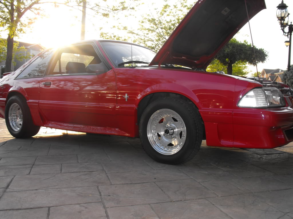 Name:  DSCF7117.jpg
Views: 152
Size:  127.2 KB