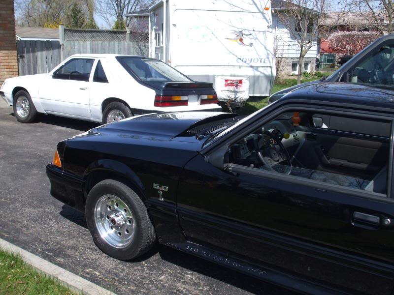 Name:  Picture021.jpg
Views: 198
Size:  89.5 KB