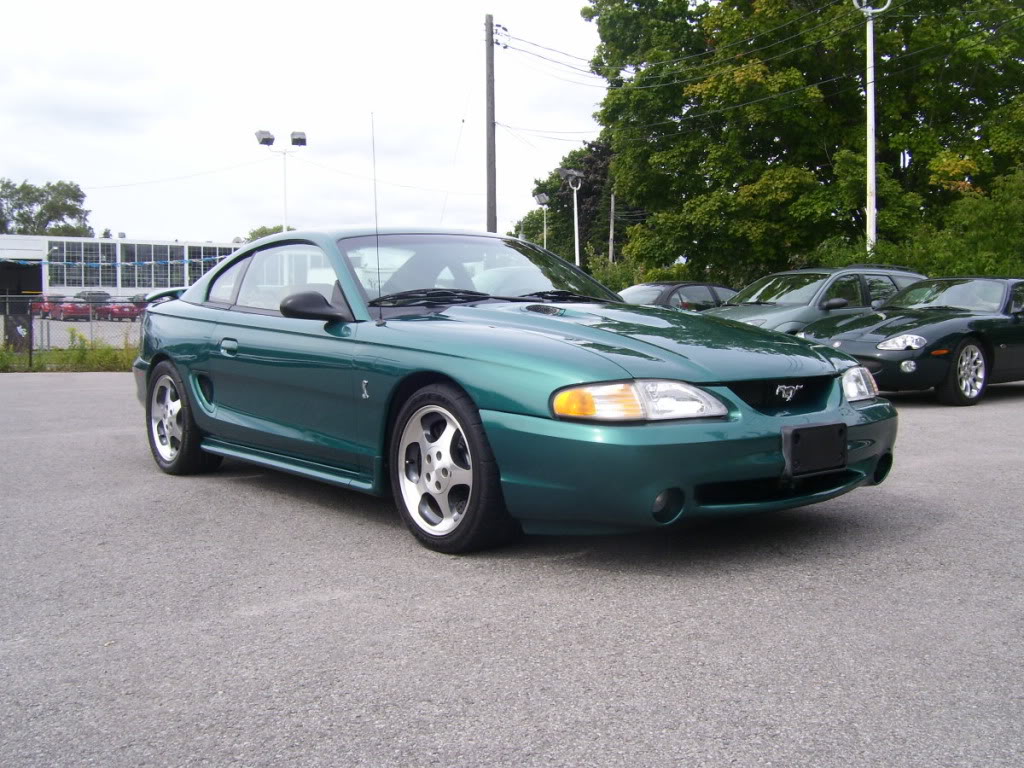 Name:  97SVTCoupe001.jpg
Views: 489
Size:  185.0 KB