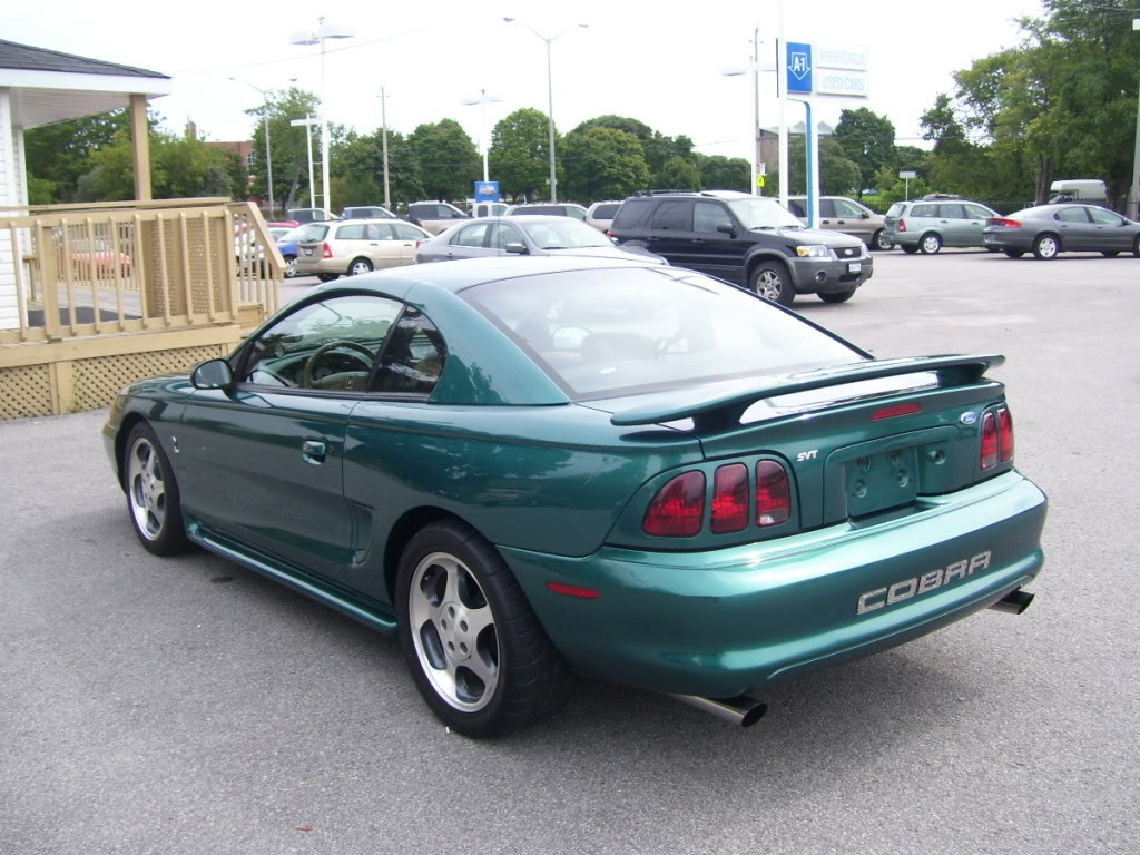 Name:  97SVTCoupe003.jpg
Views: 422
Size:  173.9 KB