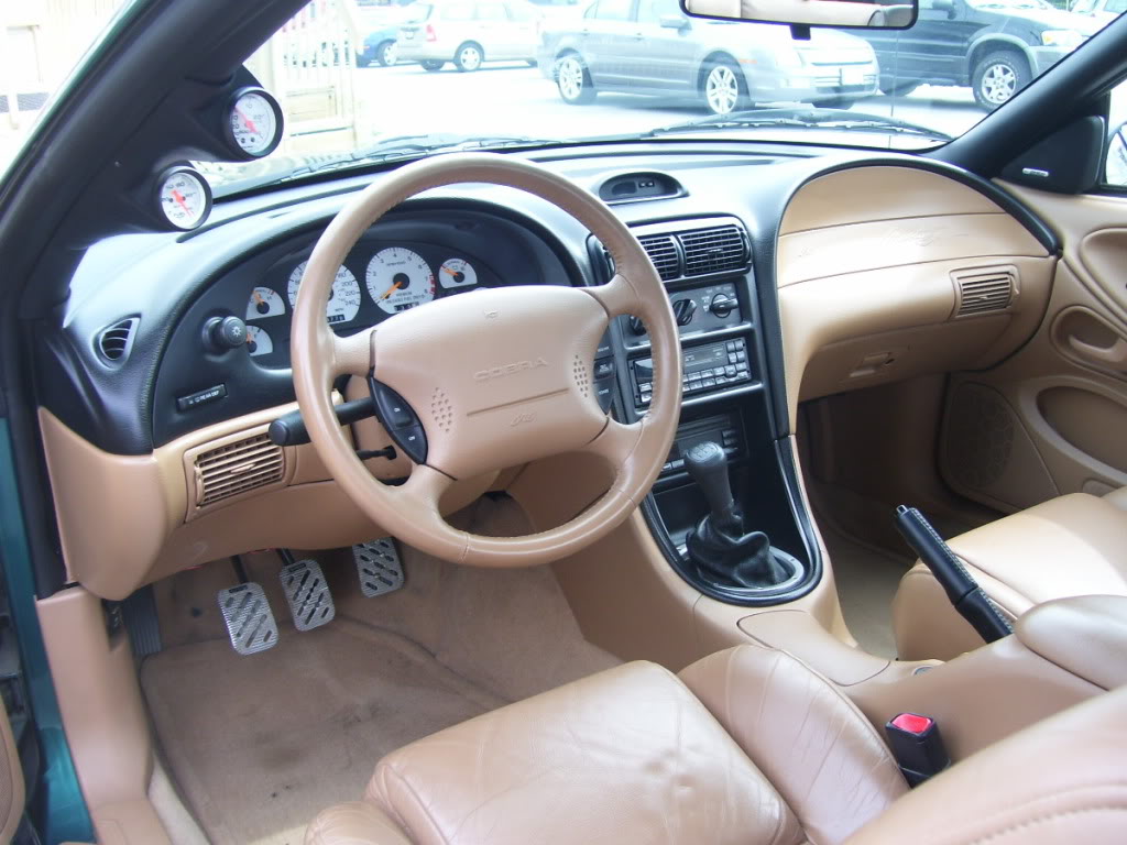 Name:  97SVTCoupe007.jpg
Views: 172
Size:  128.5 KB