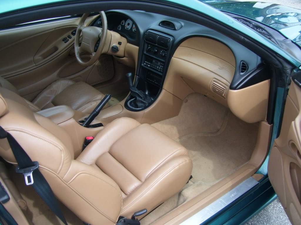 Name:  97SVTCoupe011.jpg
Views: 157
Size:  111.1 KB