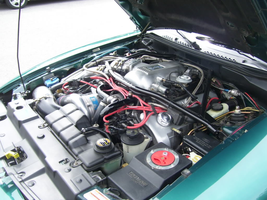 Name:  97SVTCoupe014.jpg
Views: 183
Size:  160.3 KB