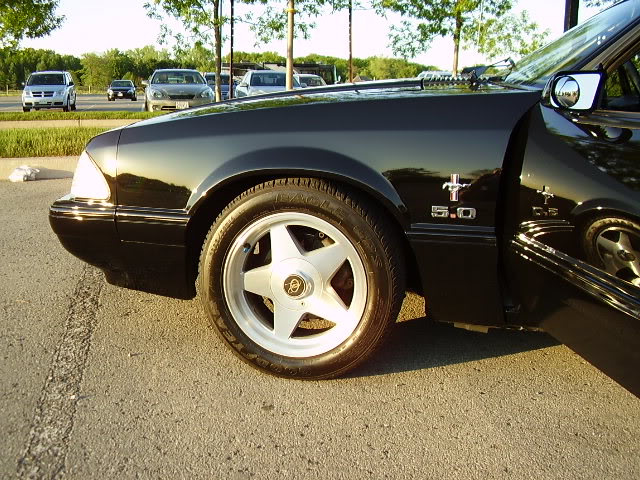 Name:  P9040118.jpg
Views: 388
Size:  99.9 KB