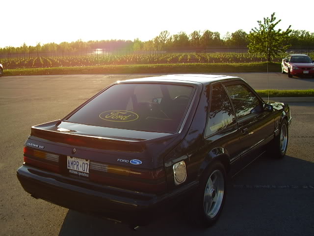 Name:  P9040089.jpg
Views: 184
Size:  56.4 KB