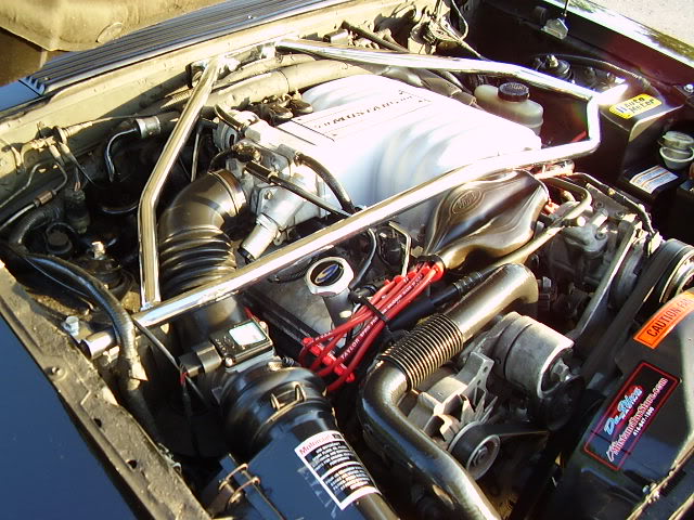 Name:  P9040094.jpg
Views: 195
Size:  90.8 KB