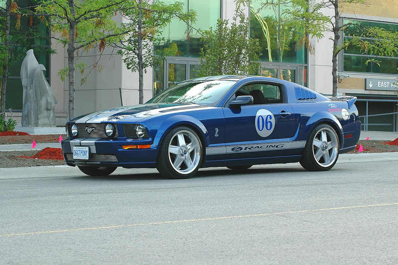 Name:  DSC_6271.jpg
Views: 886
Size:  152.2 KB