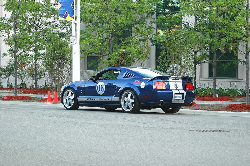 Name:  DSC_6283.jpg
Views: 739
Size:  181.1 KB