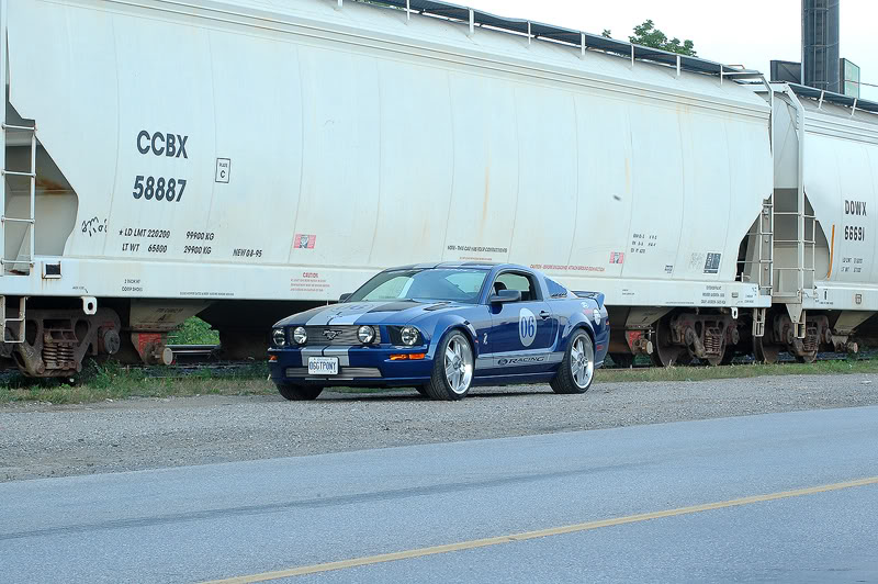 Name:  DSC_6395.jpg
Views: 759
Size:  113.4 KB