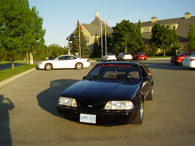 Name:  P9040086.jpg
Views: 245
Size:  85.4 KB