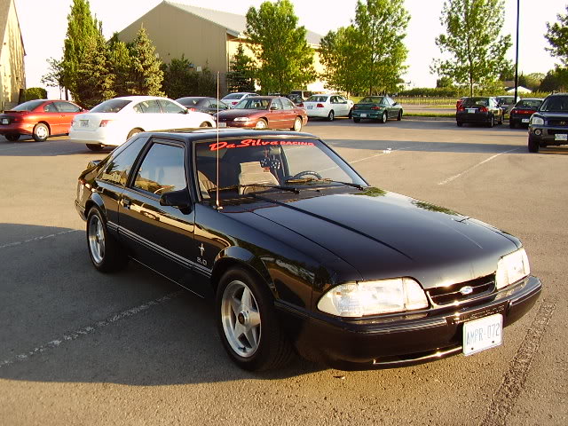 Name:  P9040087.jpg
Views: 205
Size:  92.6 KB