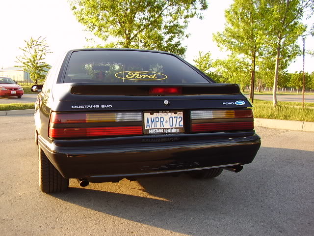 Name:  P9040119.jpg
Views: 188
Size:  90.5 KB