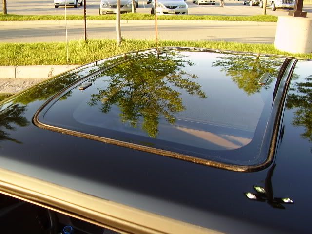 Name:  P9040115.jpg
Views: 237
Size:  78.9 KB