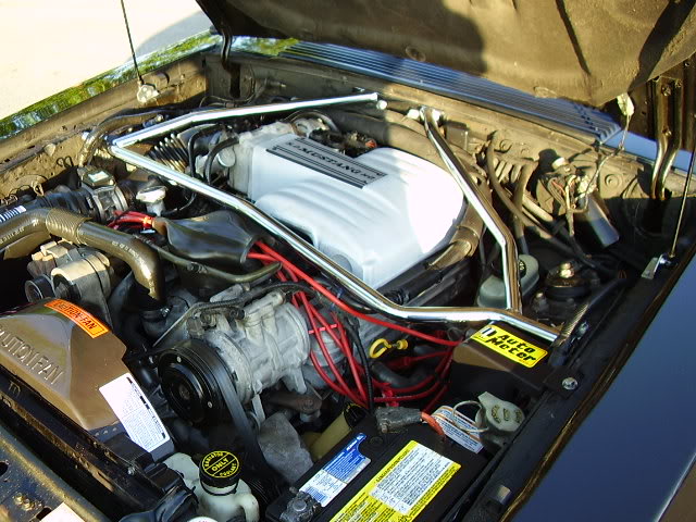 Name:  P9040092.jpg
Views: 164
Size:  87.9 KB