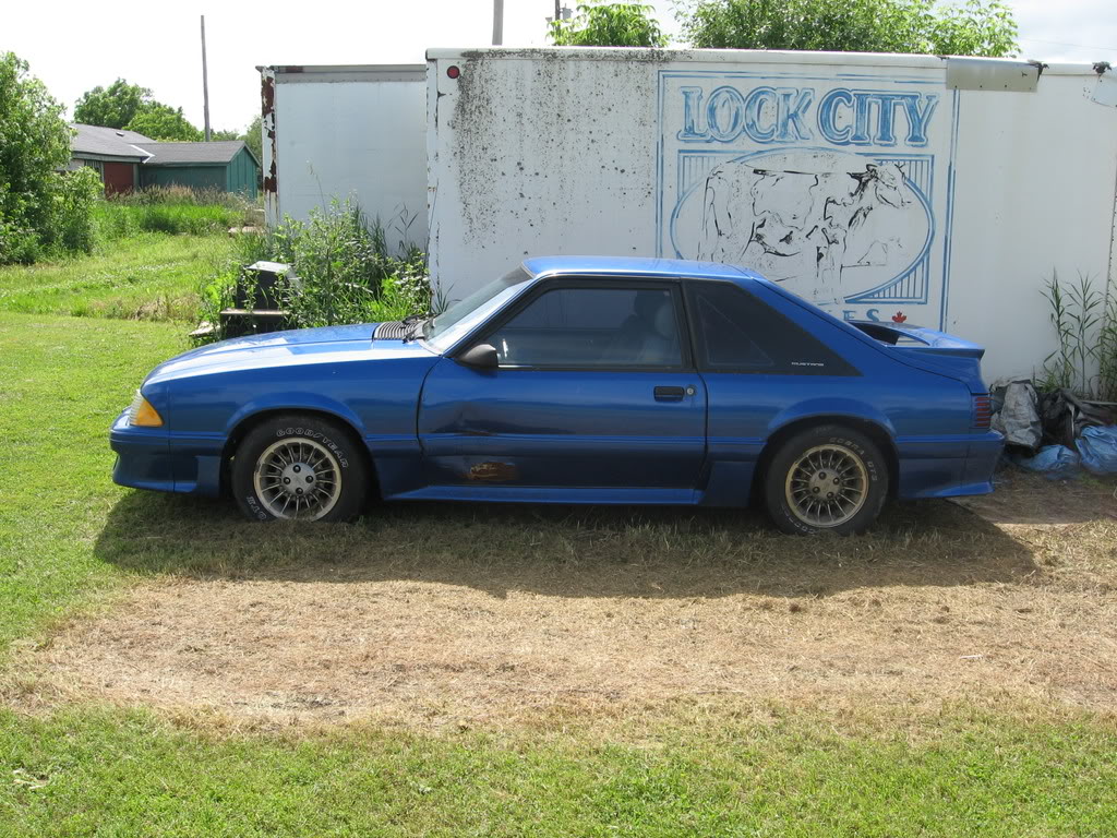 Name: IMG_0944.jpg
Views: 184
Size: 227.3 KB