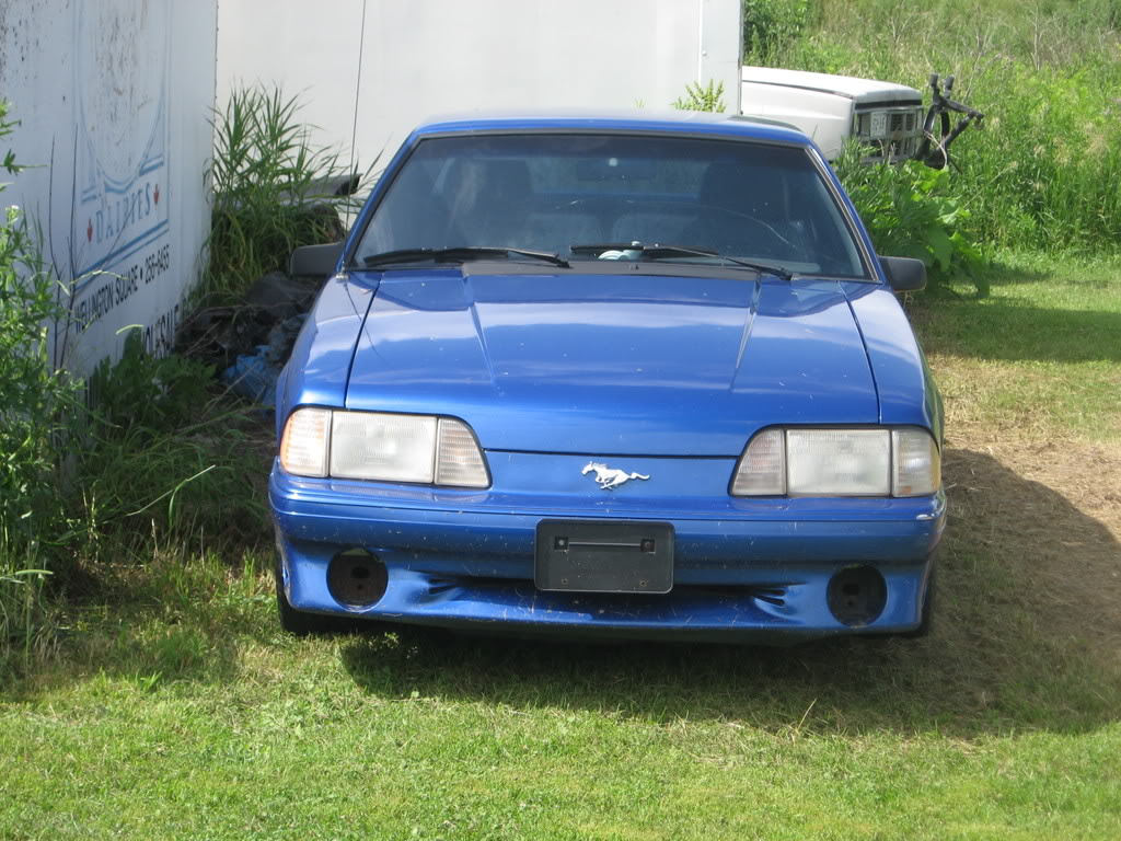 Name: IMG_0937.jpg
Views: 101
Size: 181.2 KB