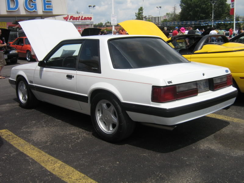 Name:  Jasonsvideo120.jpg
Views: 188
Size:  96.3 KB