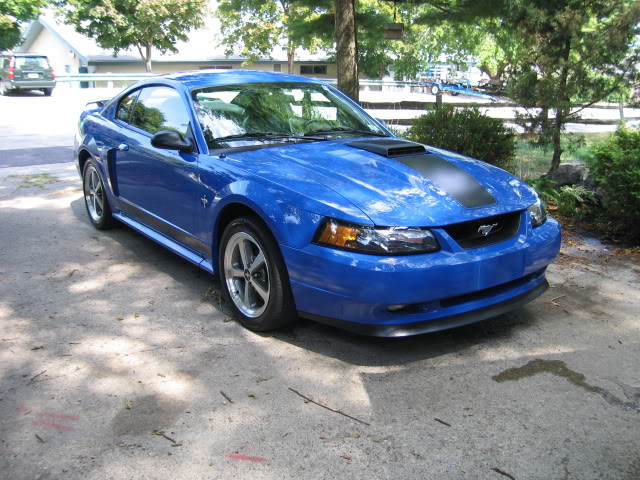 Name:  IMG_3033.jpg
Views: 305
Size:  98.0 KB