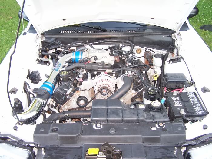 Name:  04Gtunderhood.jpg
Views: 119
Size:  92.3 KB