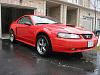 2000 Mustang GT Procharged-my-stang.jpg