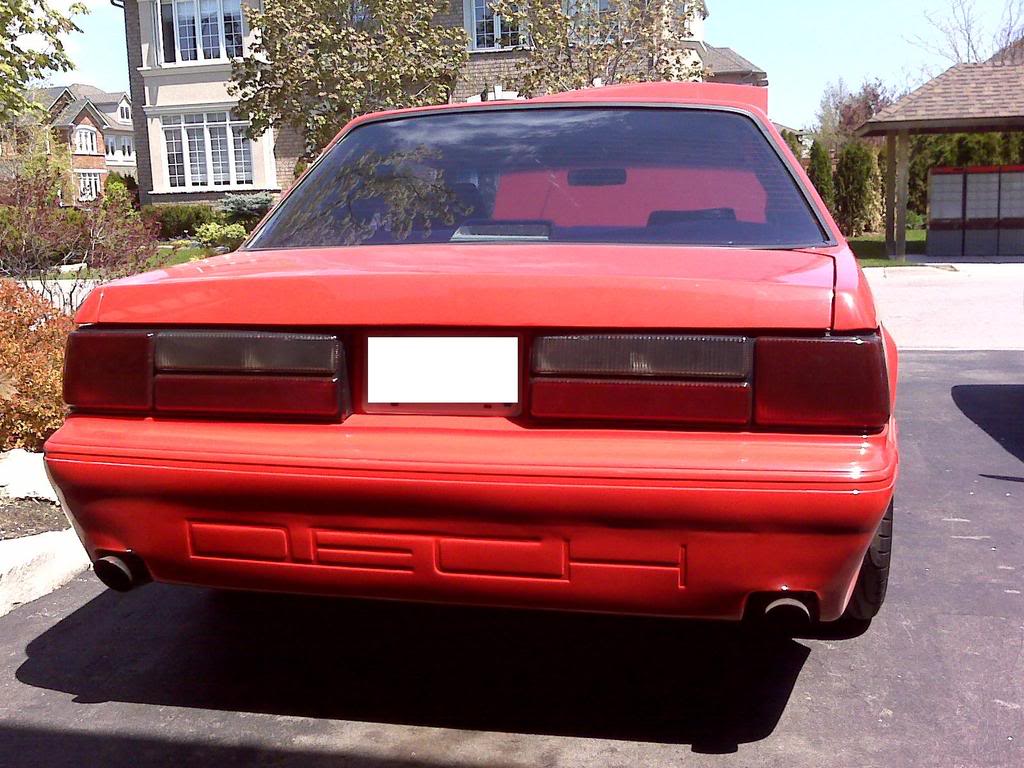 Name:  Mustang11.jpg
Views: 146
Size:  132.0 KB