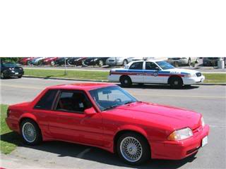 Name:  stang.jpg
Views: 135
Size:  11.6 KB