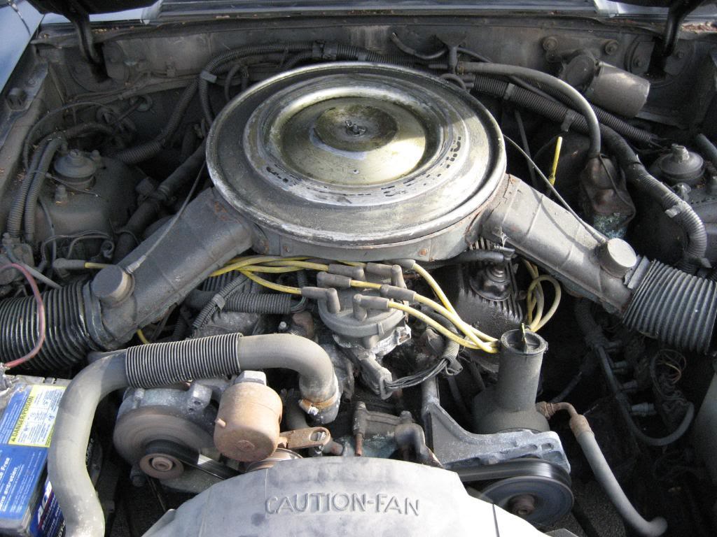 Name:  forsale213-1.jpg
Views: 134
Size:  128.7 KB