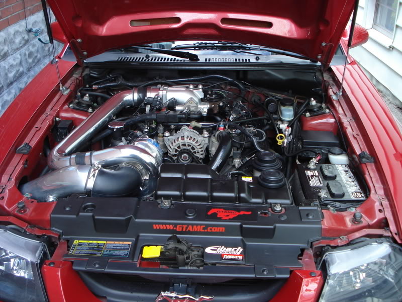 Name:  enginebay.jpg
Views: 211
Size:  120.4 KB