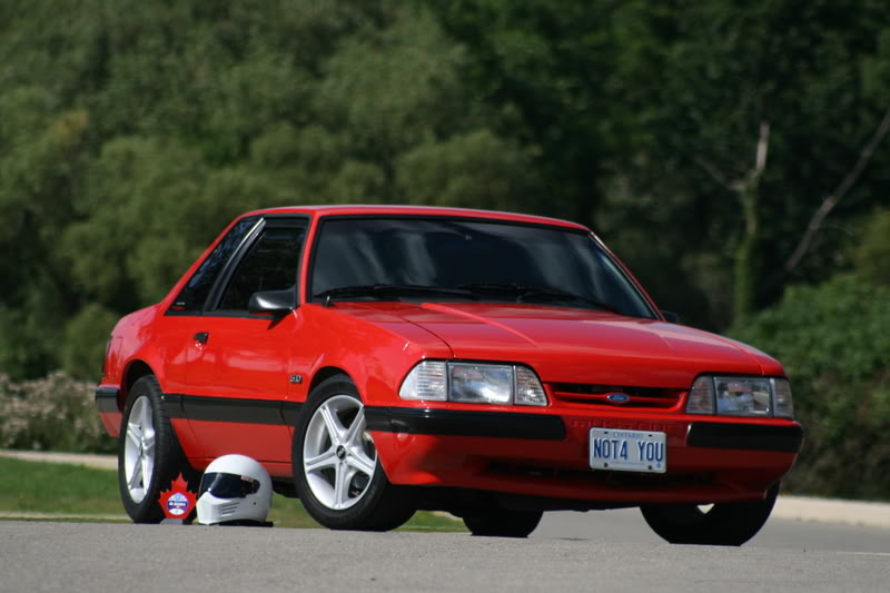 Name:  NoBorders2008_0021.jpg
Views: 214
Size:  58.4 KB