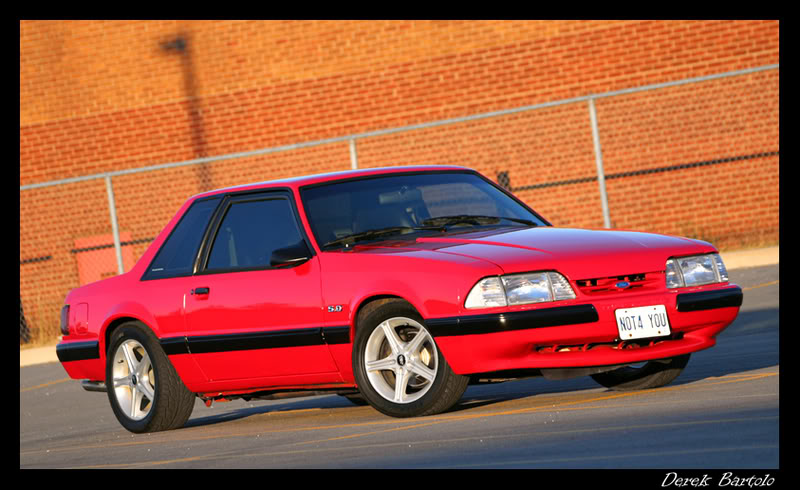 Name:  IMG_5392Medium1.jpg
Views: 242
Size:  81.9 KB