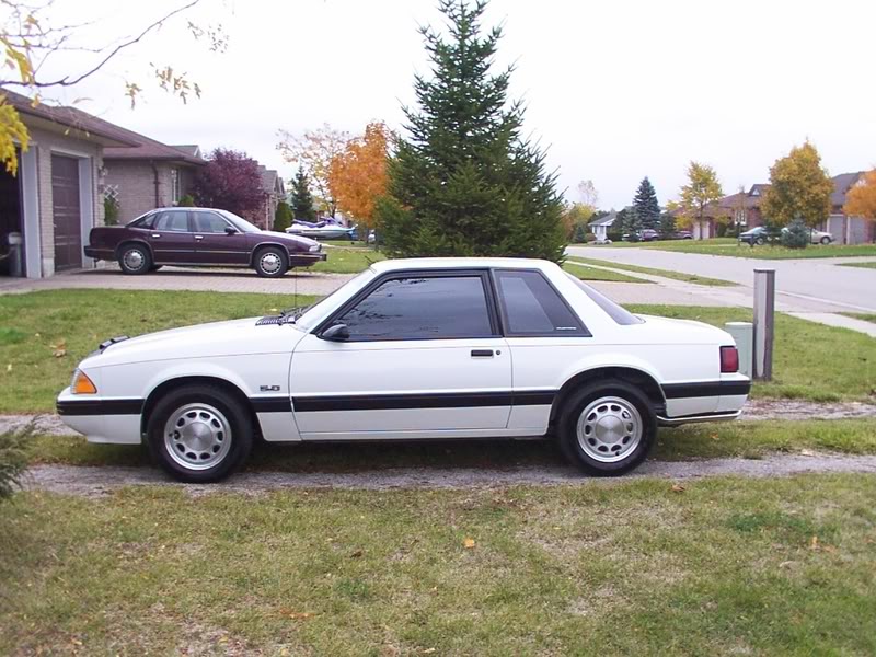 Name: 89Side1.jpg
Views: 145
Size: 112.8 KB