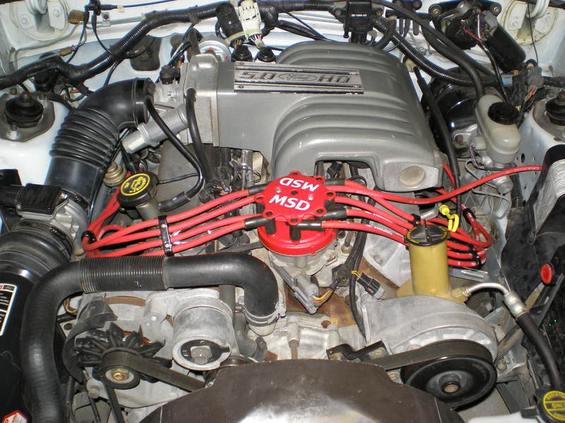 Name: P7220025.jpg
Views: 133
Size: 94.1 KB