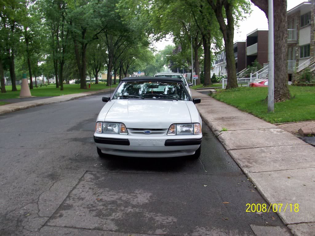 Name:  100_0035.jpg
Views: 248
Size:  165.0 KB