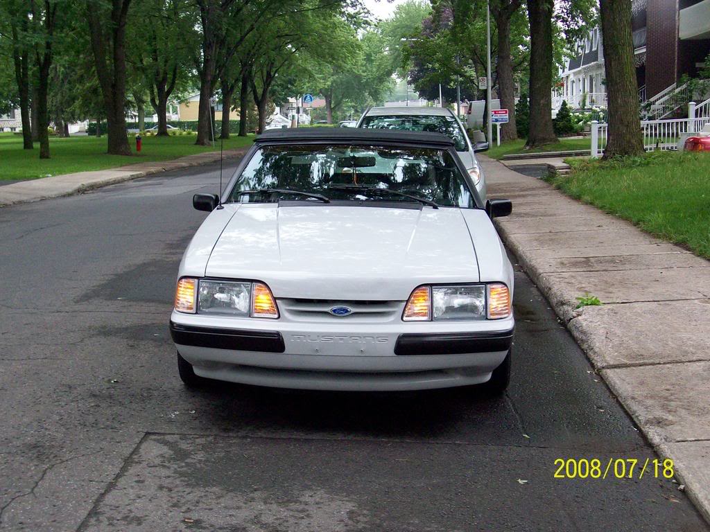 Name:  100_0051.jpg
Views: 289
Size:  166.0 KB