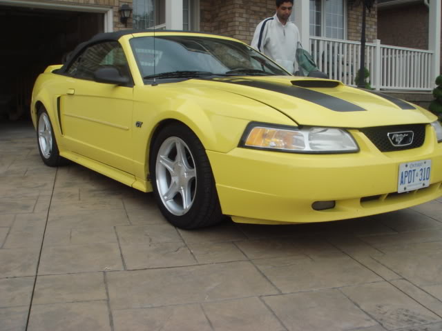 Name:  mustconvs019.jpg
Views: 122
Size:  46.7 KB